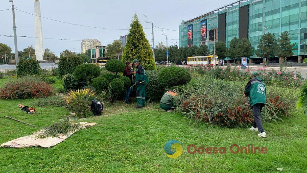 Коммунальщики высаживают в Одессе осенние цветы