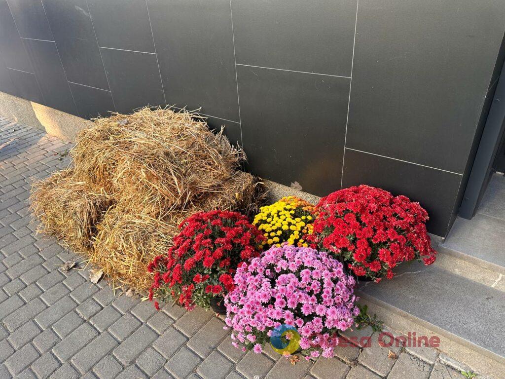 Halloween близько: у центрі Одеси вже з’являються гарбузово-солом`яні фотозони (фоторепортаж)