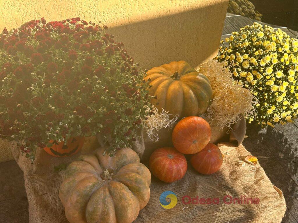 Halloween близько: у центрі Одеси вже з’являються гарбузово-солом`яні фотозони (фоторепортаж)