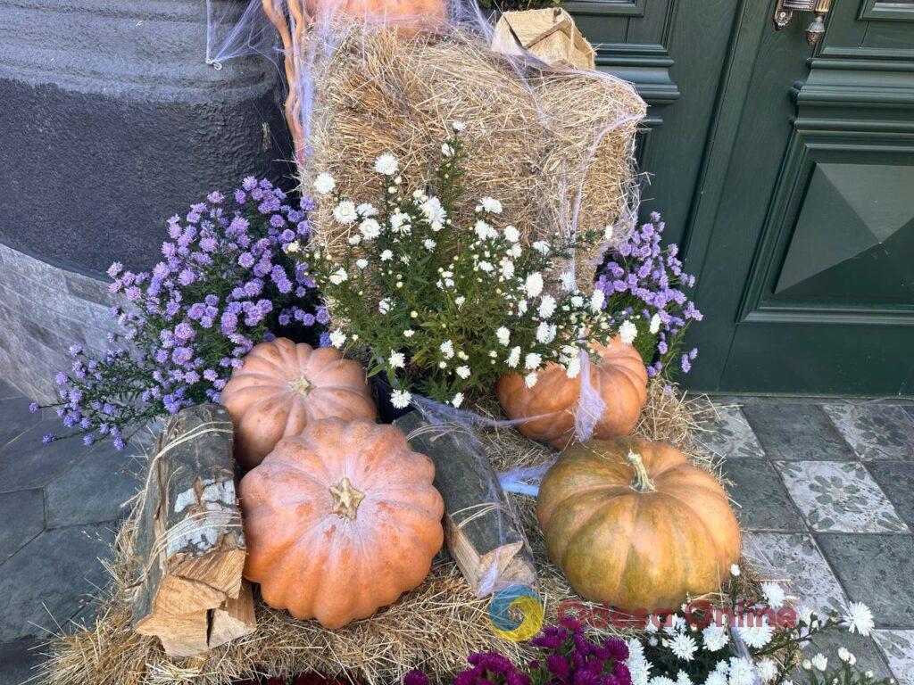 Halloween близько: у центрі Одеси вже з’являються гарбузово-солом`яні фотозони (фоторепортаж)