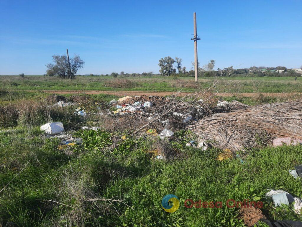 Околиця села потопає в смітті та відходах: екологи виявили в Одеському районі стихійне сміттєзвалище (фото)