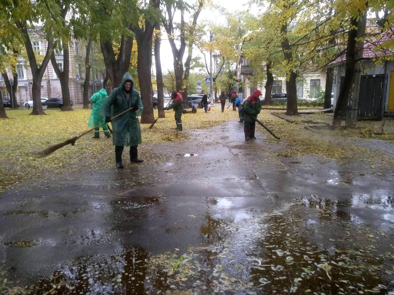 Непогода повалила в Одессе три дерева