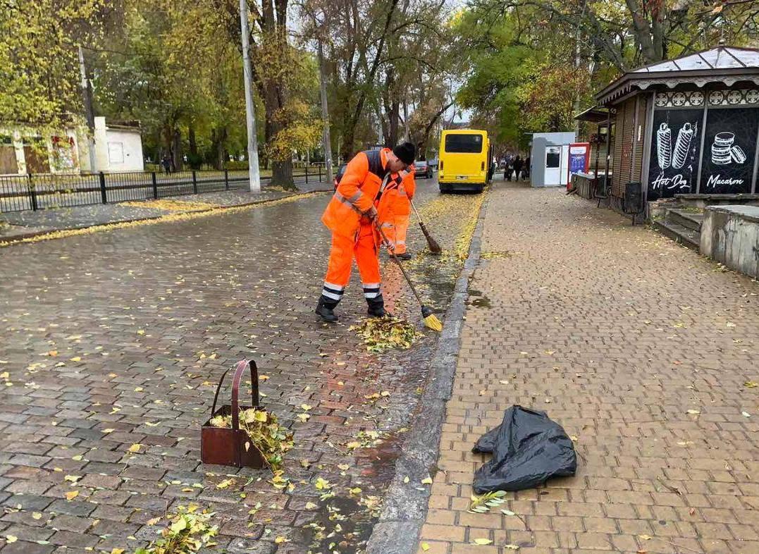 Непогода повалила в Одессе три дерева