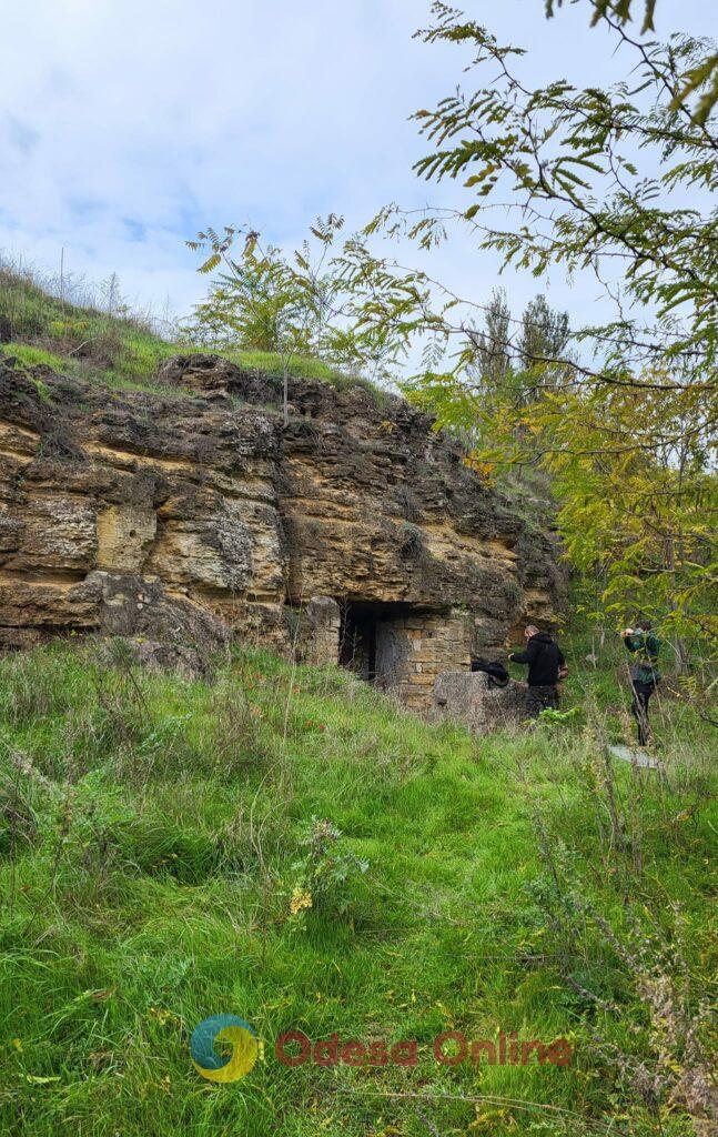 В одесских катакомбах спасли лису, упавшую в четырехметровый колодец (фото)