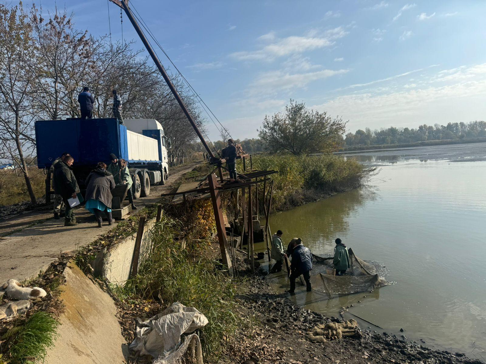 В озеро Катлабух на Одещині випустили майже 3,5 тонни товстолобів