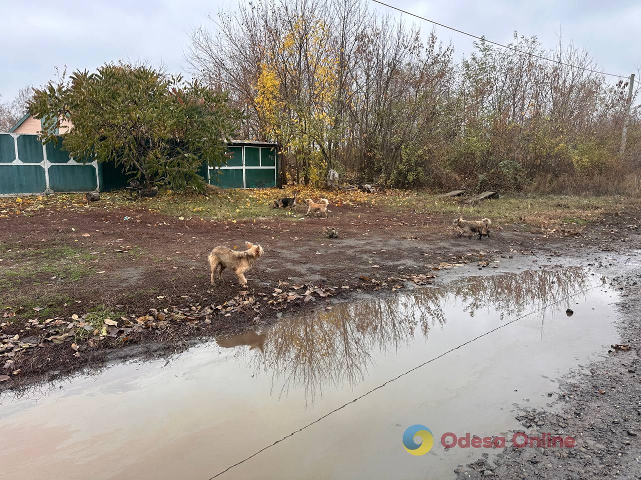 Без світла, води та зв’язку: як сьогодні живуть прифронтові села Харківщини