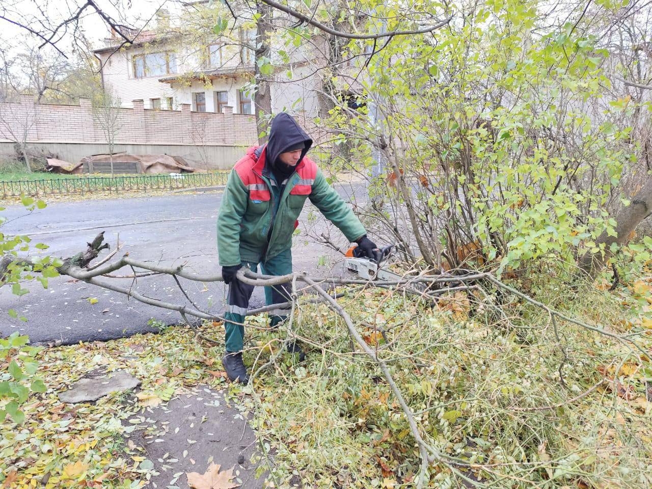 В Одессе сильный ветер повалил деревья