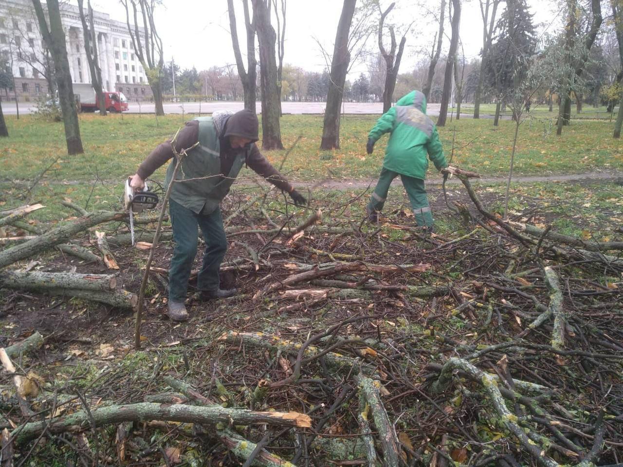 В Одессе сильный ветер повалил деревья