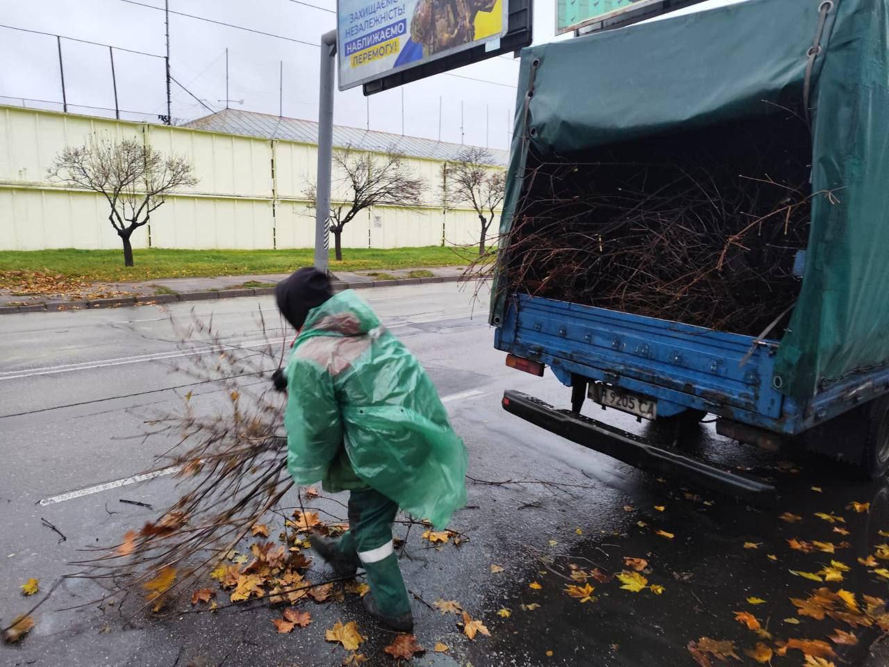 В Одессе сильный ветер повалил деревья