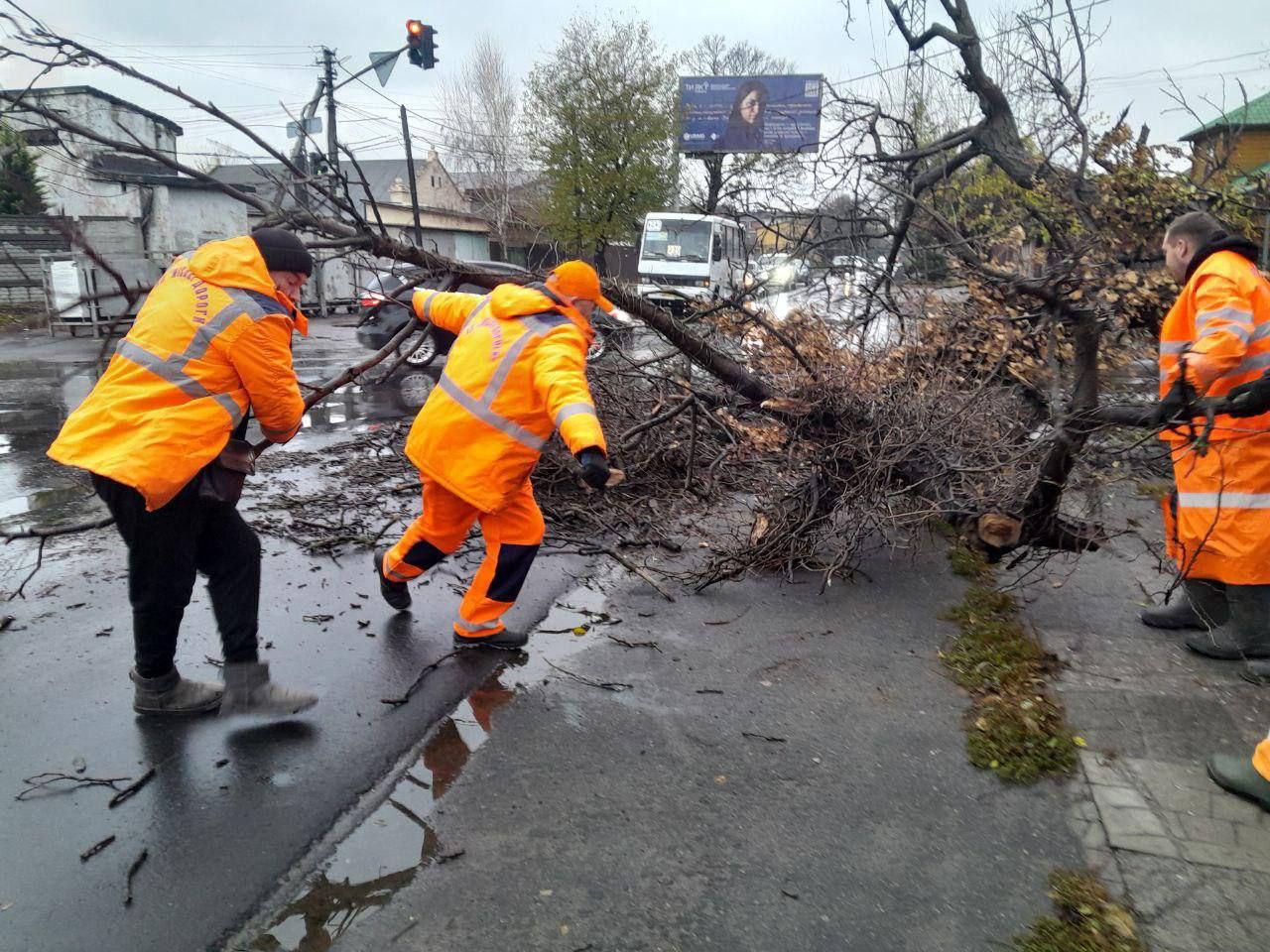 В Одессе сильный ветер повалил деревья