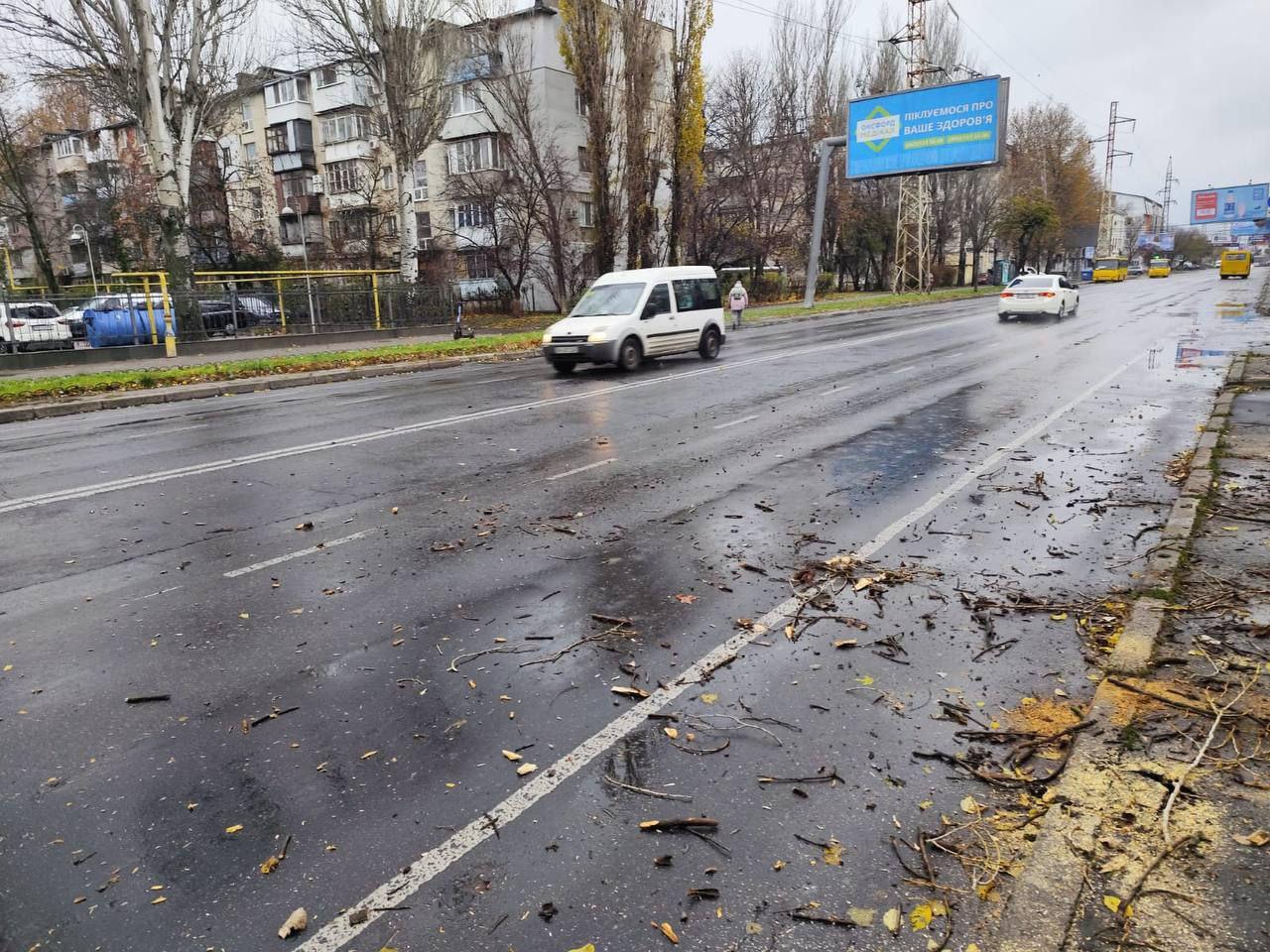 В Одессе сильный ветер повалил деревья