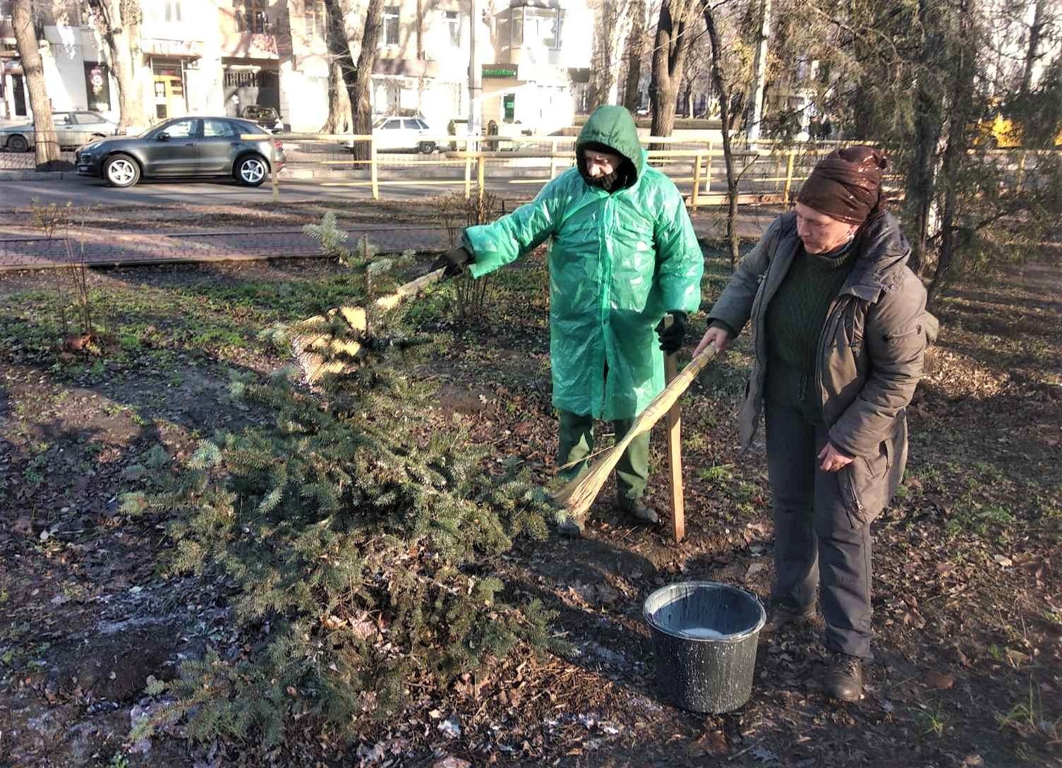 В Одесі обприскують ялинки спеціальним розчином крейди, щоб вберегти від незаконної вирубки