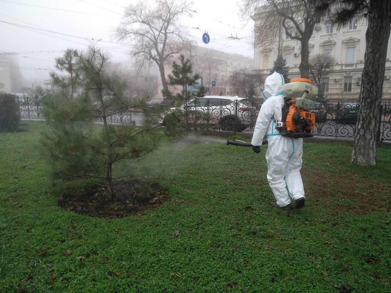 В Одесі обприскують ялинки спеціальним розчином крейди, щоб вберегти від незаконної вирубки