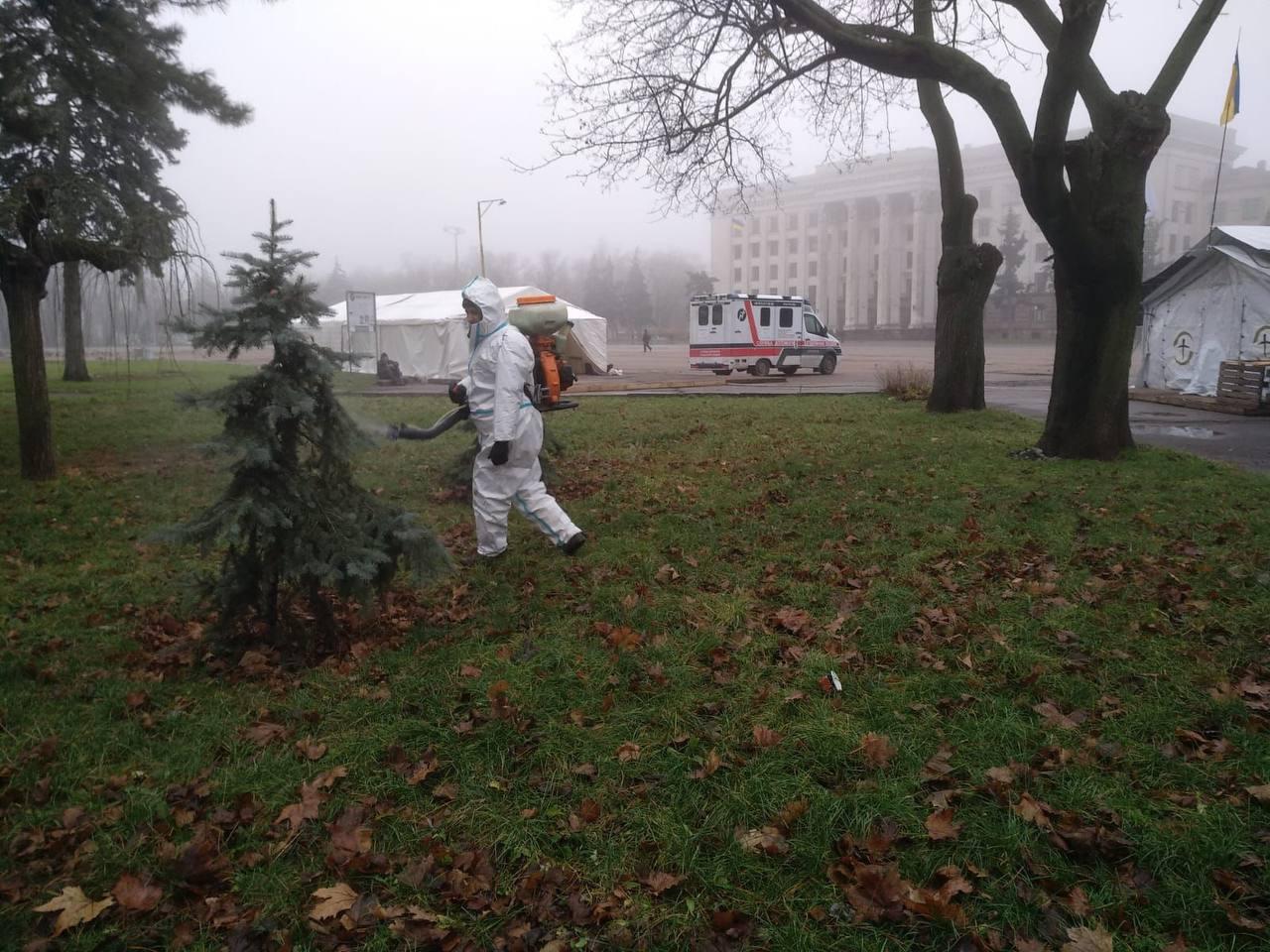 В Одесі обприскують ялинки спеціальним розчином крейди, щоб вберегти від незаконної вирубки