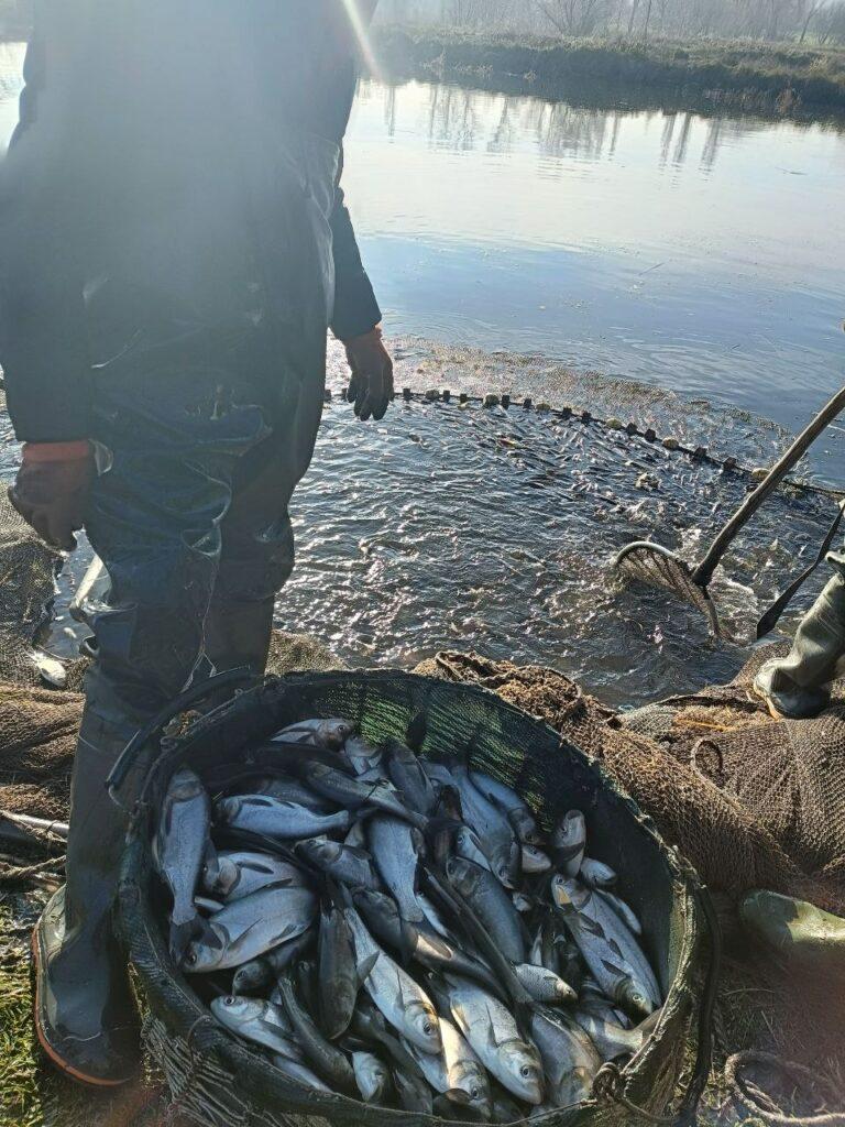 В Одесской области зарыбили Заплазское водохранилище (фото)