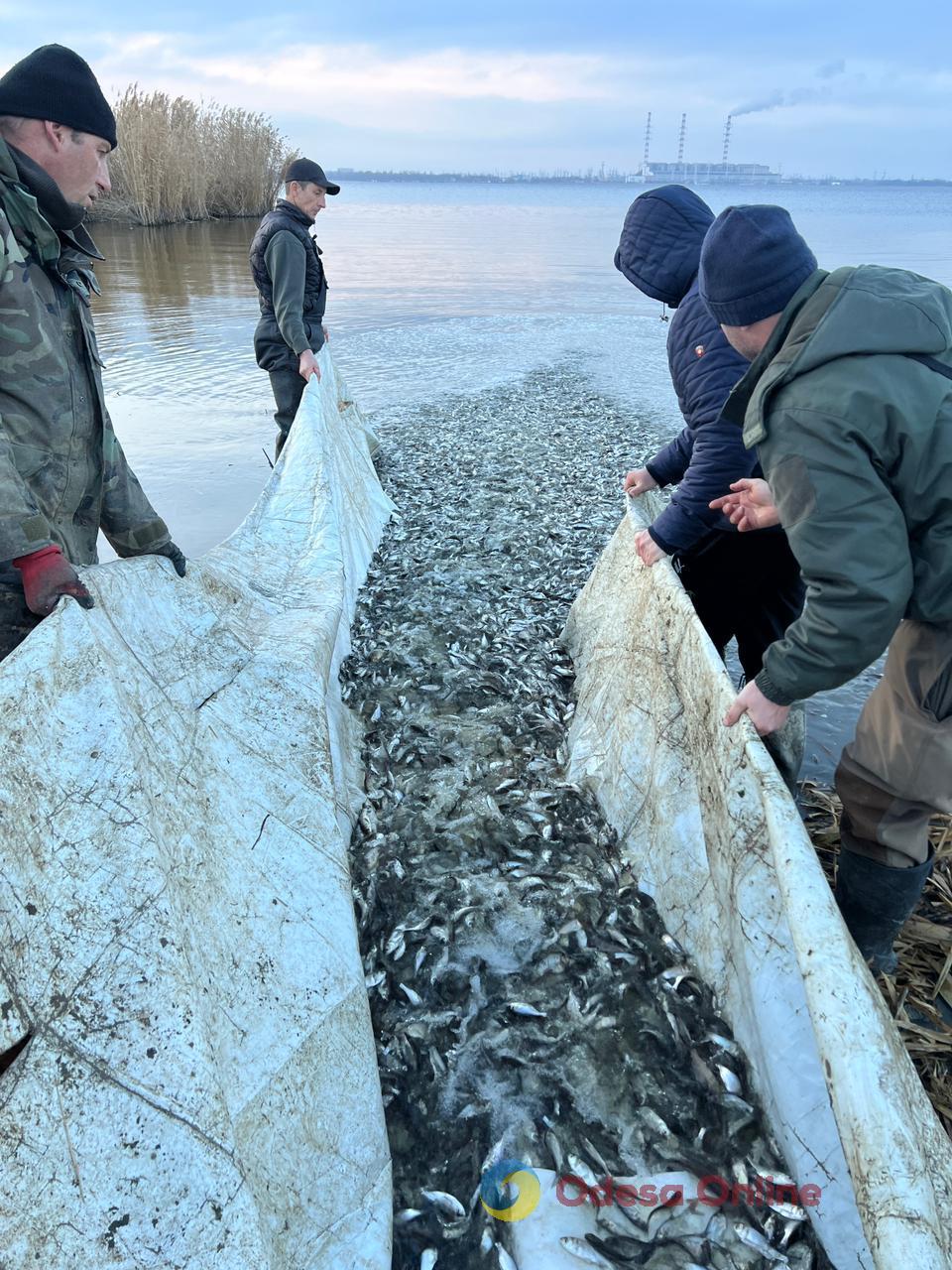 Одещина: Кучурганське водосховище зарибили