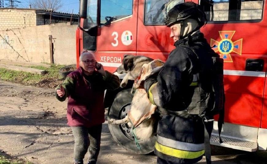 Пожежа після обстрілу: херсонські вогнеборці врятували двох песиків (фото)