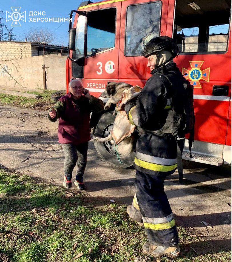 Пожежа після обстрілу: херсонські вогнеборці врятували двох песиків (фото)