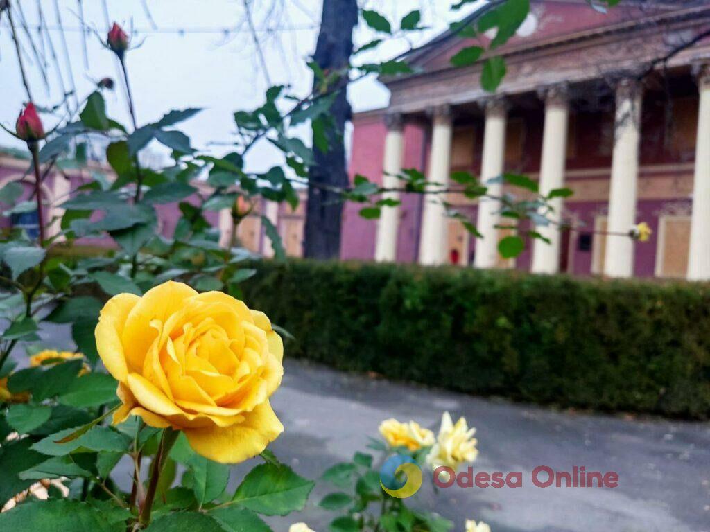 Сумна екскурсія Одесою: як війна знищує архітектурну пам’ять міста (фото)