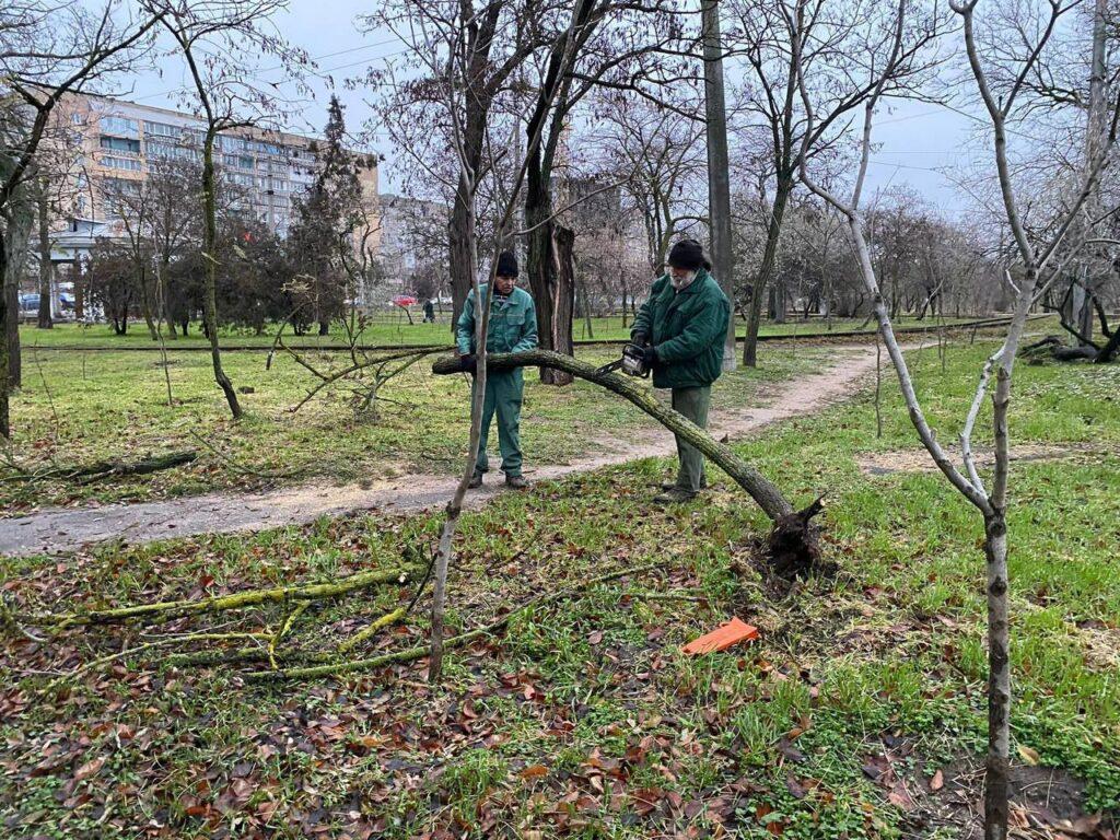 В Одессе ветер с дождем повалили деревья