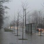 Туман с видимостью 200–500 метров: какой будет погода в Одессе и области 20 декабря