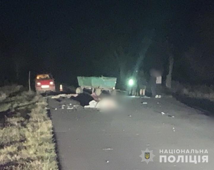 Смертельное ДТП под Одессой: погибли мужчина и лошадь (фото)