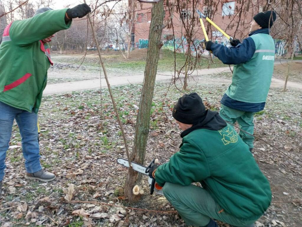 Одеські озеленювачі проводять підрізання дерев (фото)