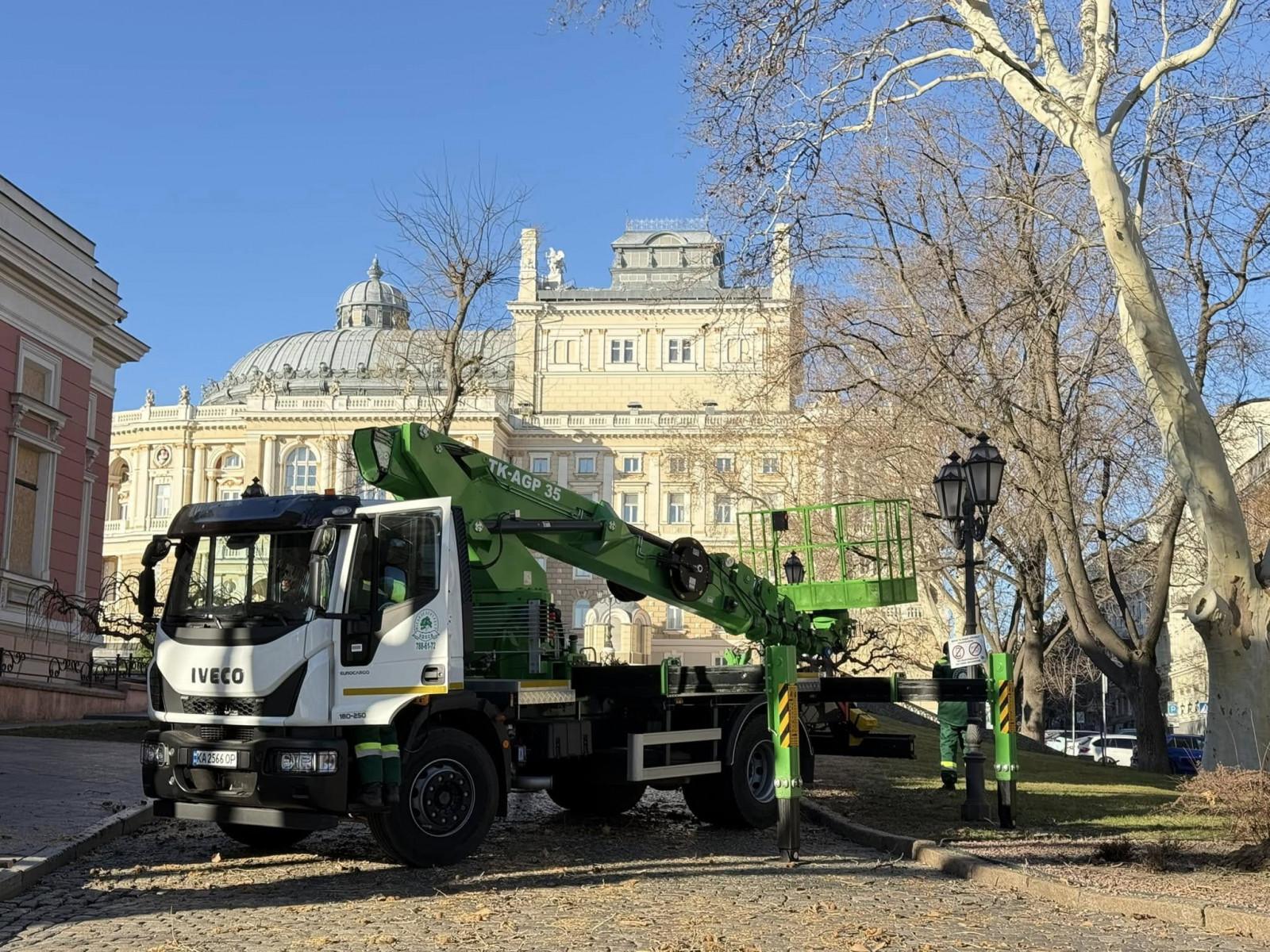 В Одесі на Французькому бульварі підрізають дерева – рух транспорту може бути ускладнено