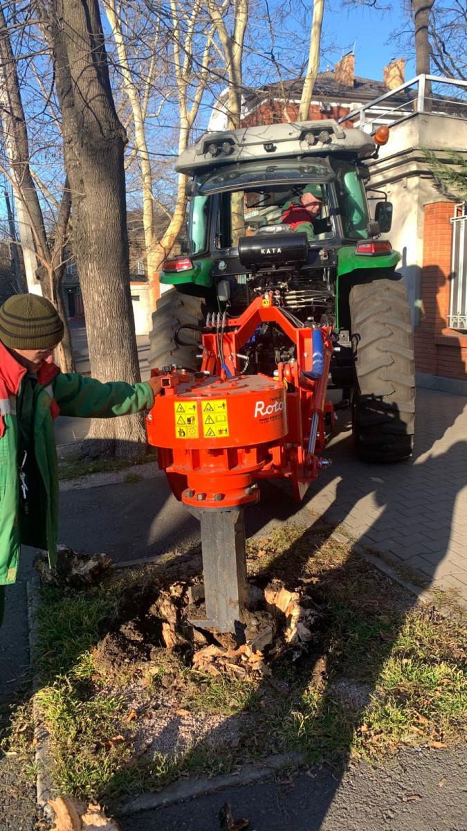 В Одессе на Французском бульваре подрезают деревья — движение транспорта может быть затруднено или частично ограничено