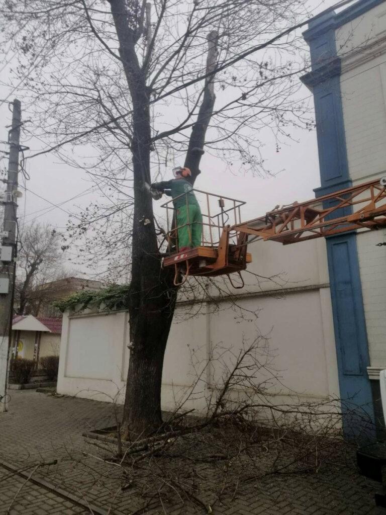 В Одессе на Французском бульваре подрезают деревья — движение транспорта может быть затруднено или частично ограничено