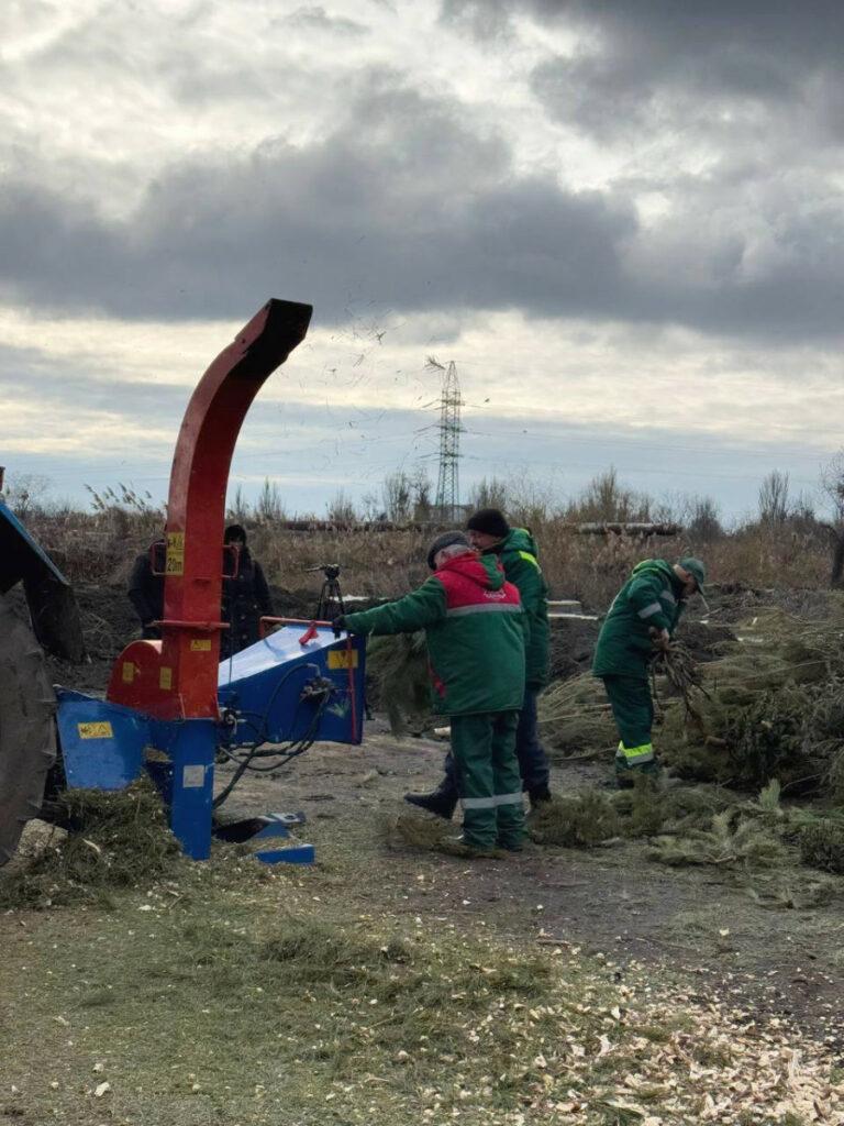 В Одессе перерабатывают новогодние елки в удобрения и мульчу