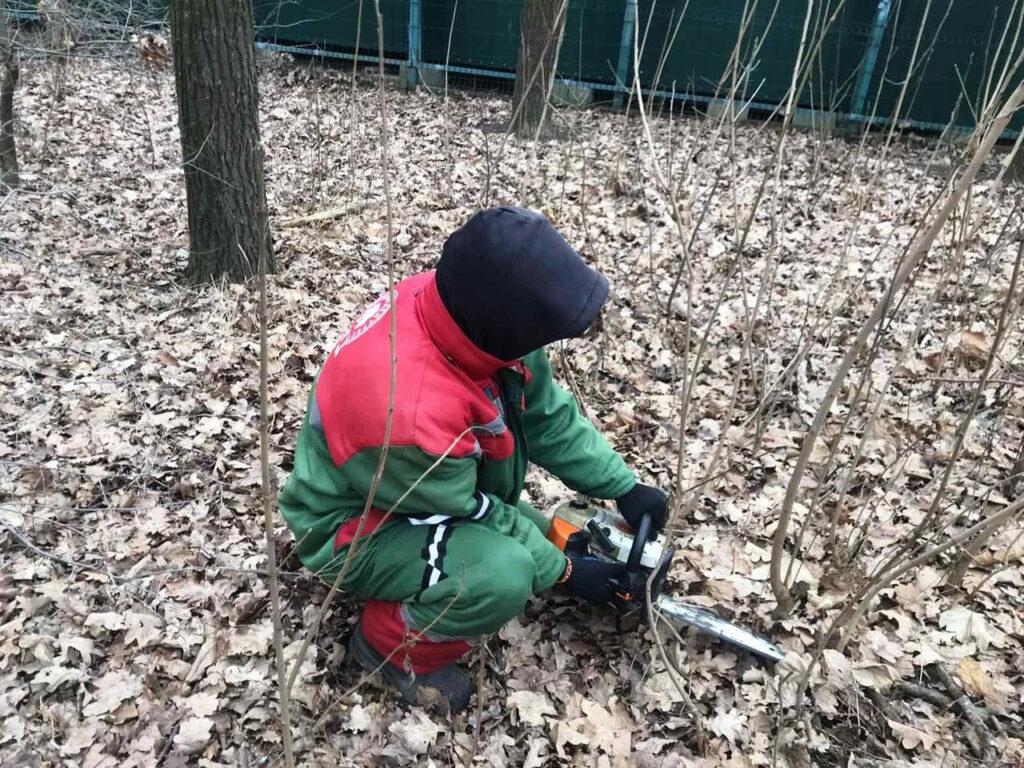 Одесские озеленители готовят город к весне