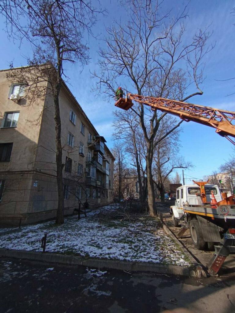 Вниманию водителей: в Одессе на Троицкой корчуют пни