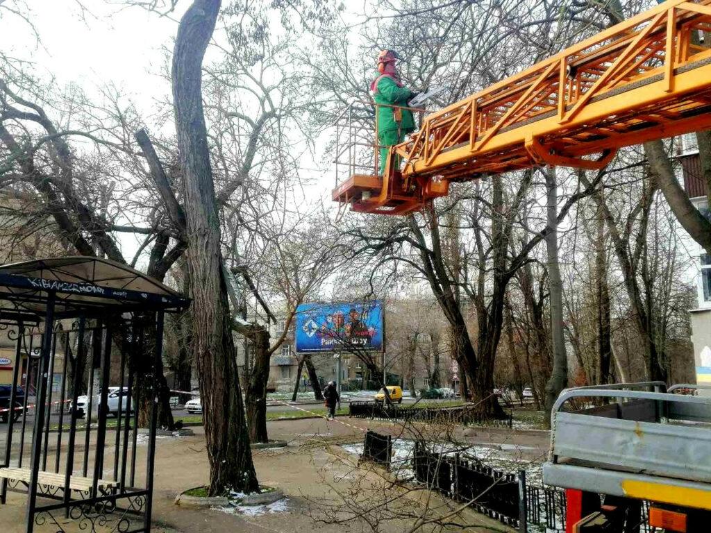 Вниманию водителей: в Одессе на Троицкой корчуют пни