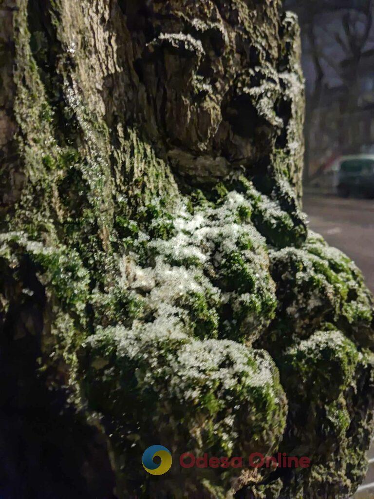 В Одесі випав перший сніг (фотофакт)