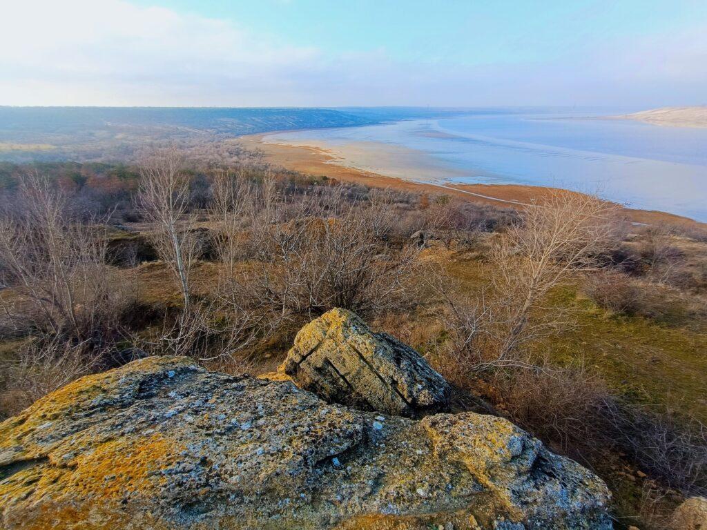 В Нацпарке в Одесской области расцвело краснокнижное растение (фото)