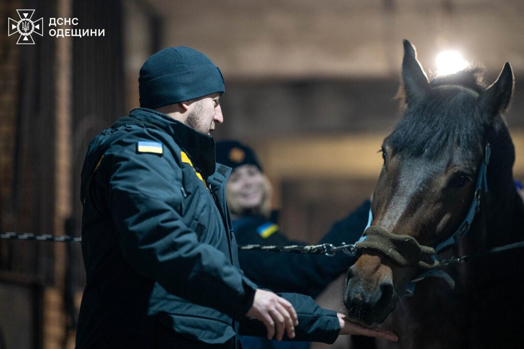 Иппотерапия для пиротехников: в Одессе проводят реабилитационные занятия в конном клубе