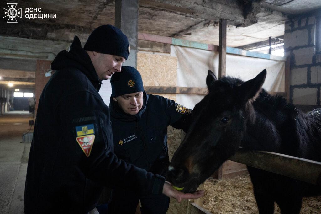 Иппотерапия для пиротехников: в Одессе проводят реабилитационные занятия в конном клубе