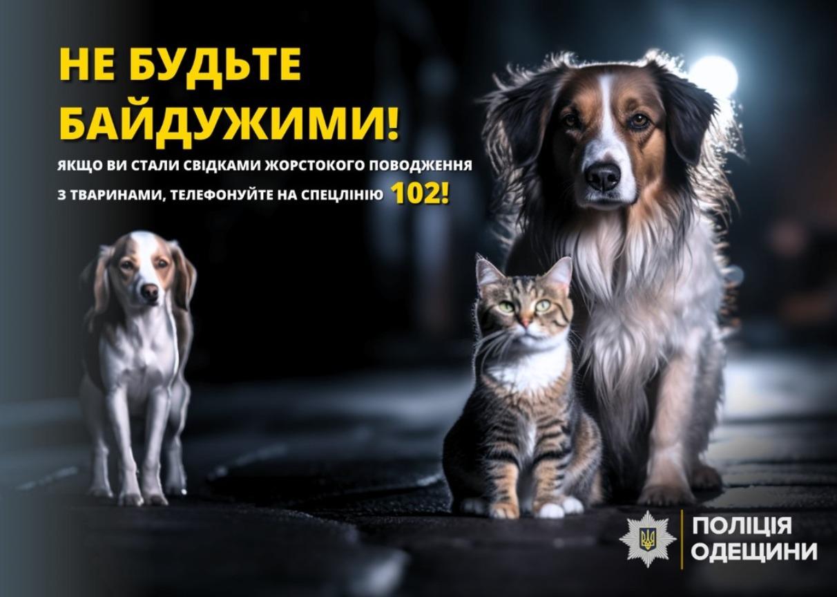 Утримувала близько 70 тварин: жителька Одеського району відповість за побиття собаки