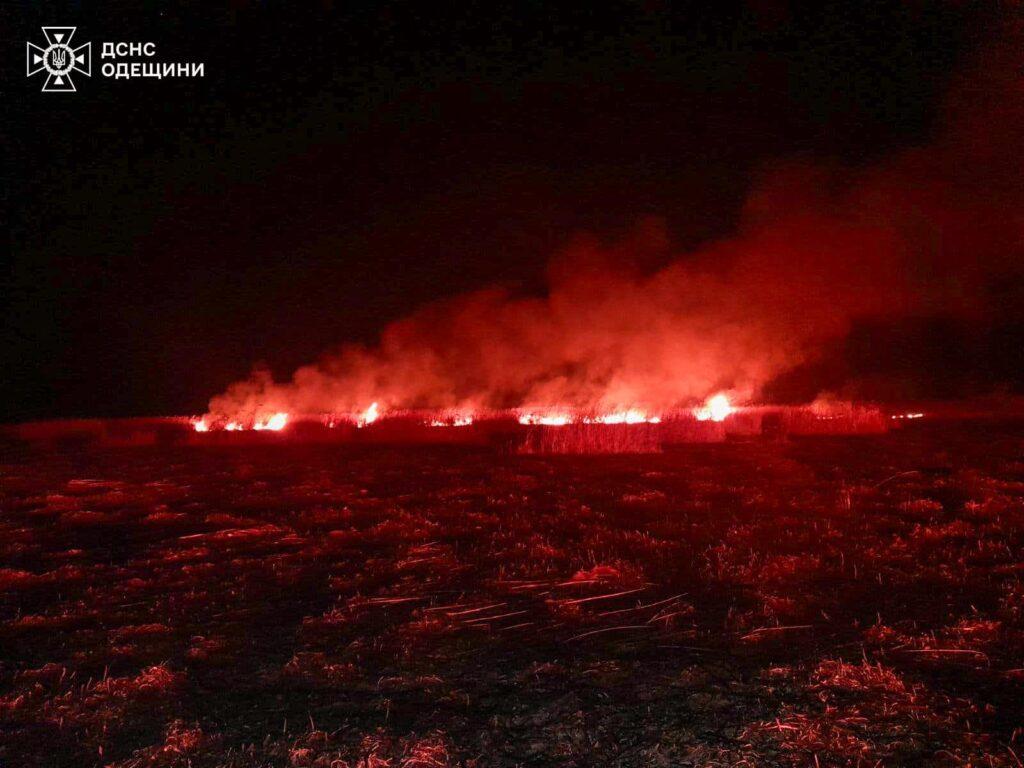 Экосистемы в огне: за сутки в Одесской области произошло 24 пожара на открытой территории (фото)