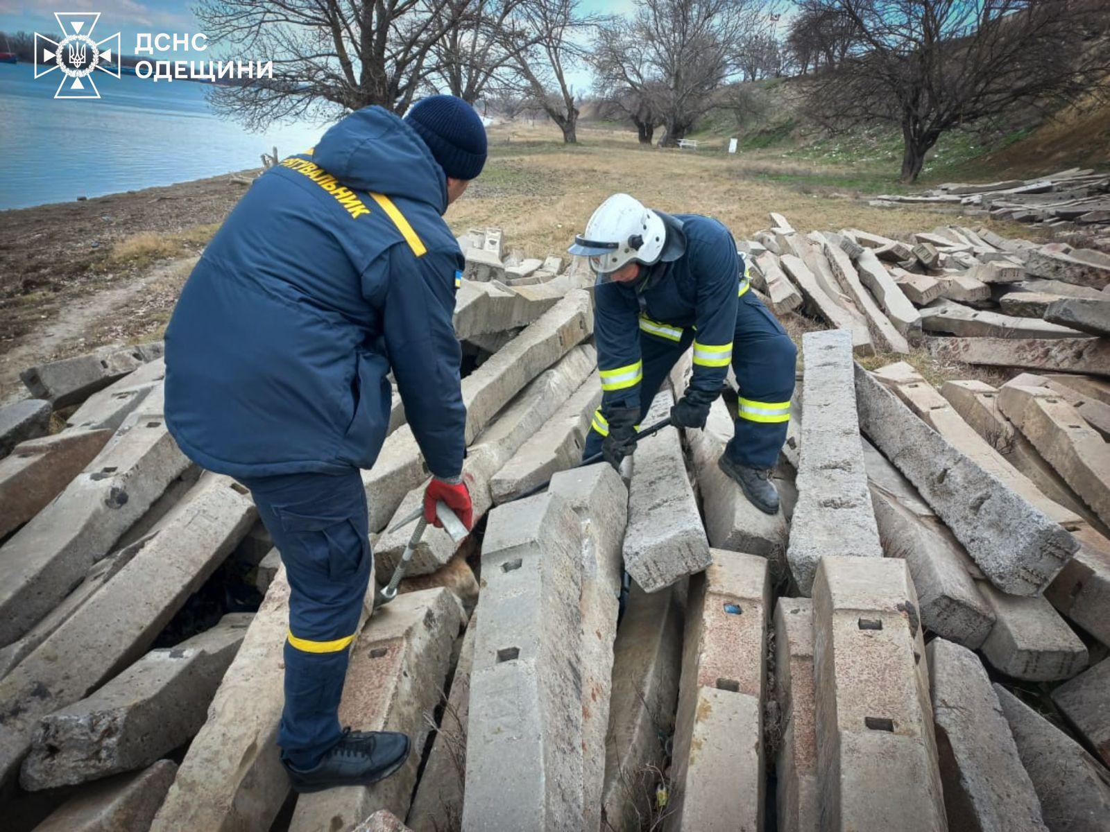 В Одесской области пожарные спасли собаку и козленка (фото)