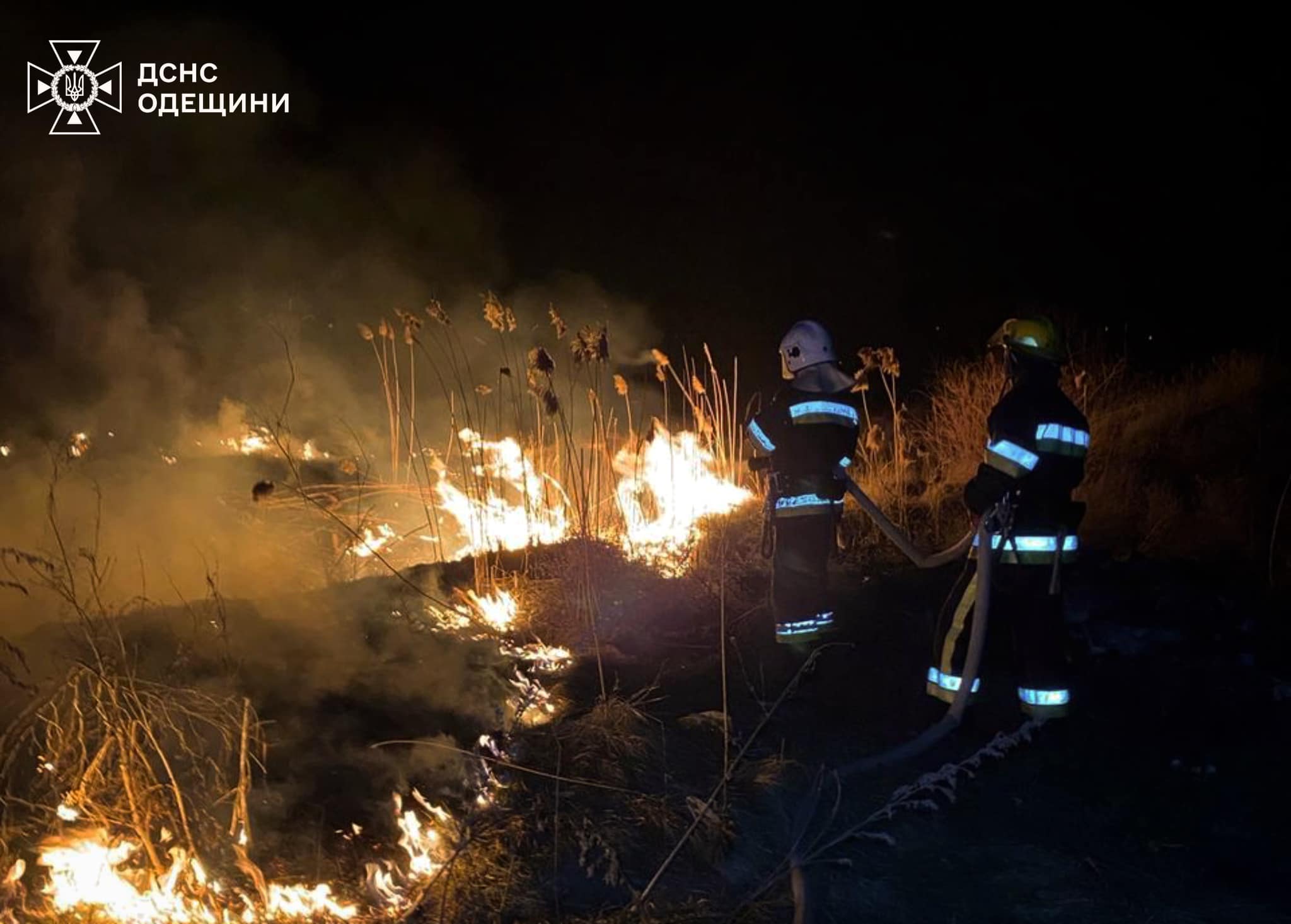 На Одещині за тиждень рятувальники 137 разів виїжджали на гасіння сухої рослинності (фото)