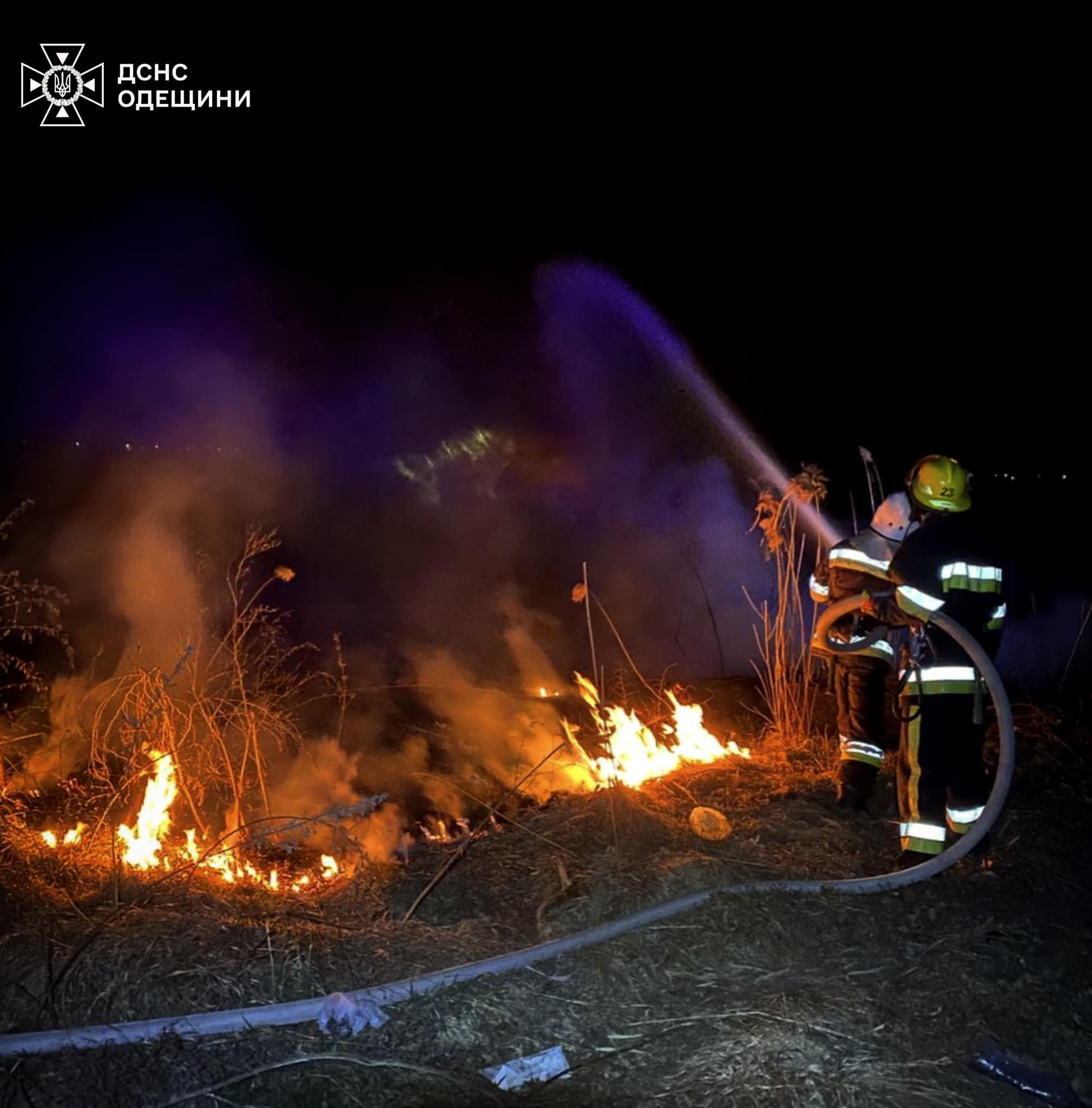 На Одещині за тиждень рятувальники 137 разів виїжджали на гасіння сухої рослинності (фото)