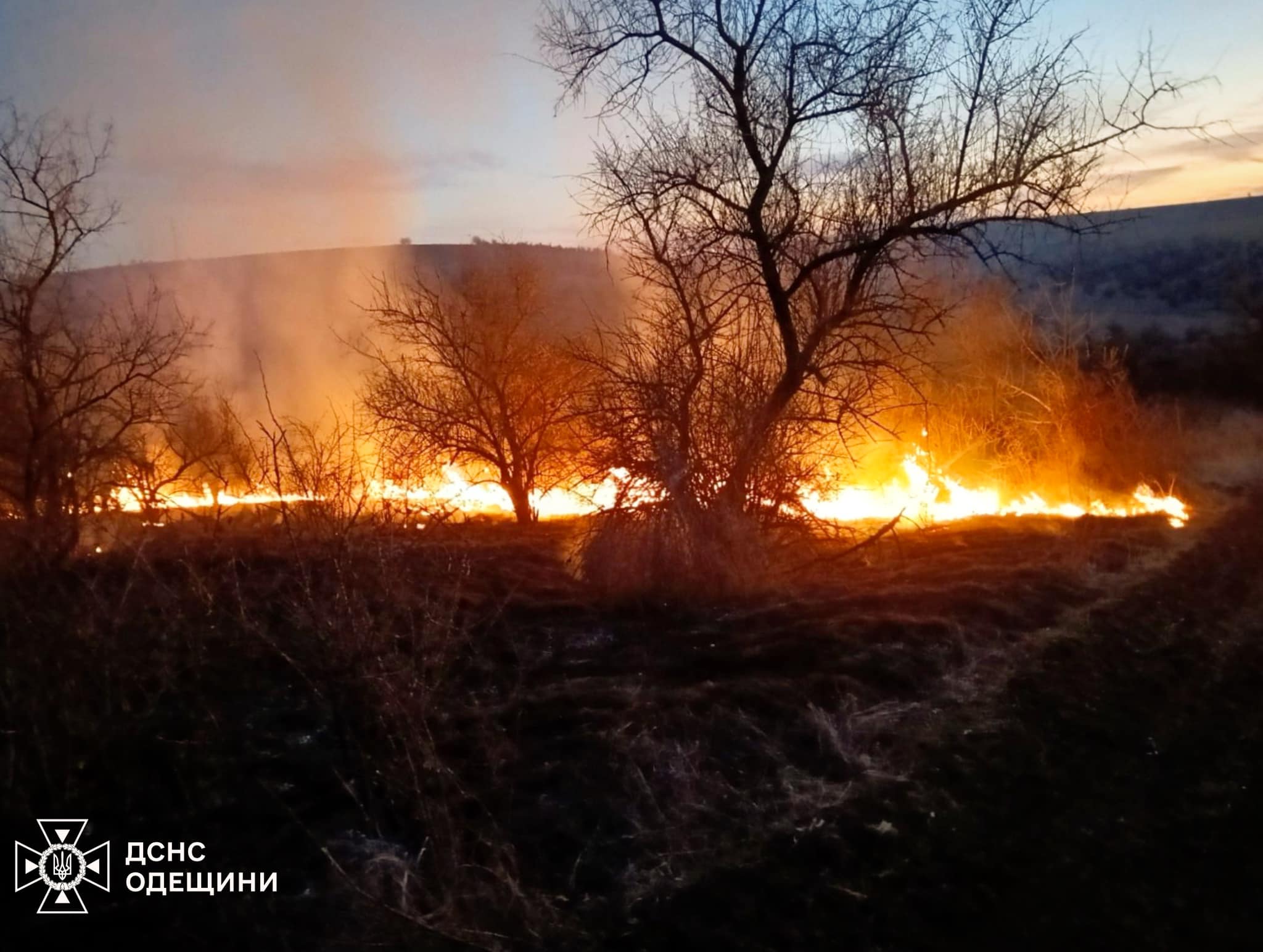 На Одещині за тиждень рятувальники 137 разів виїжджали на гасіння сухої рослинності (фото)