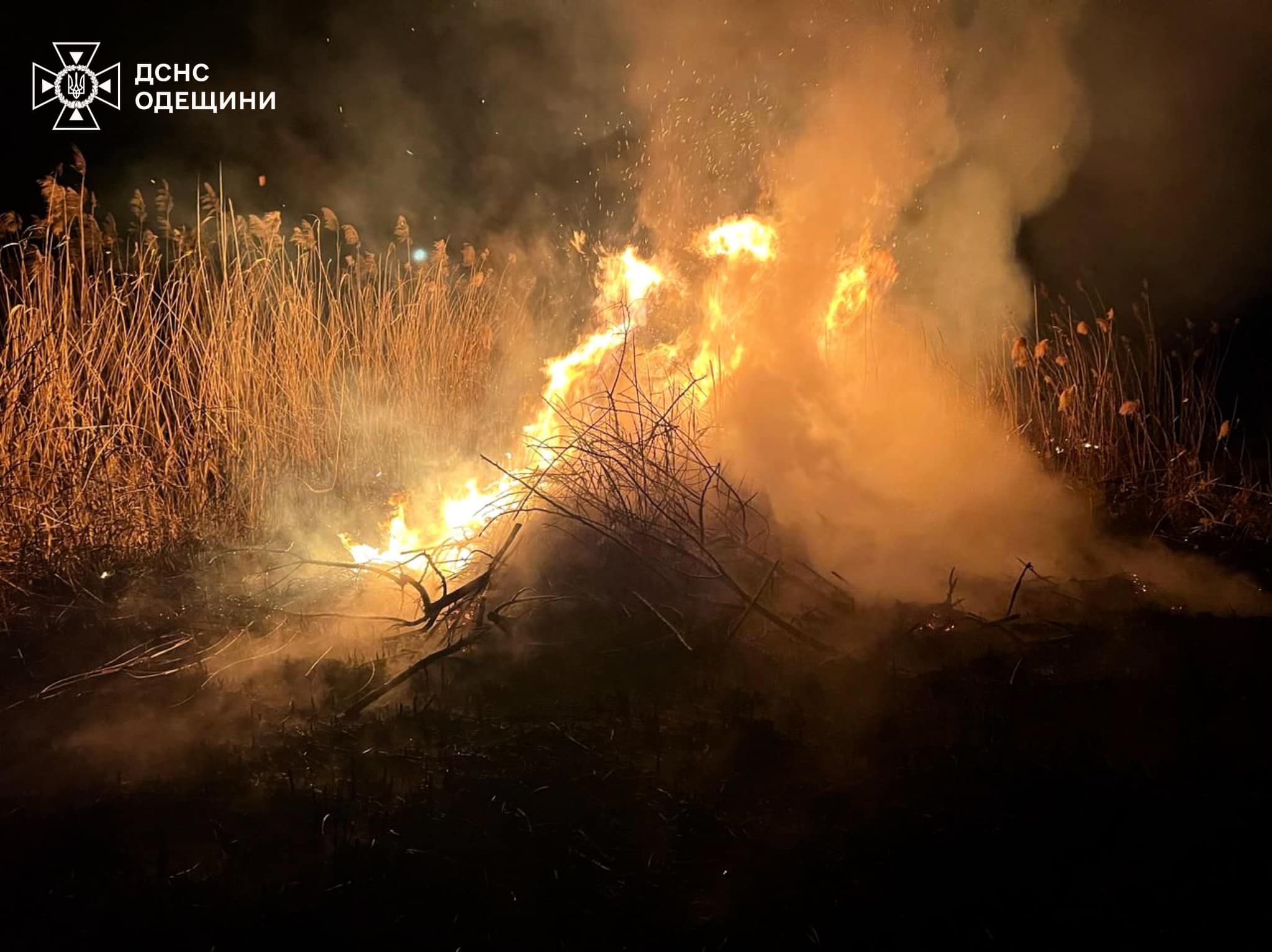 На Одещині за тиждень рятувальники 137 разів виїжджали на гасіння сухої рослинності (фото)