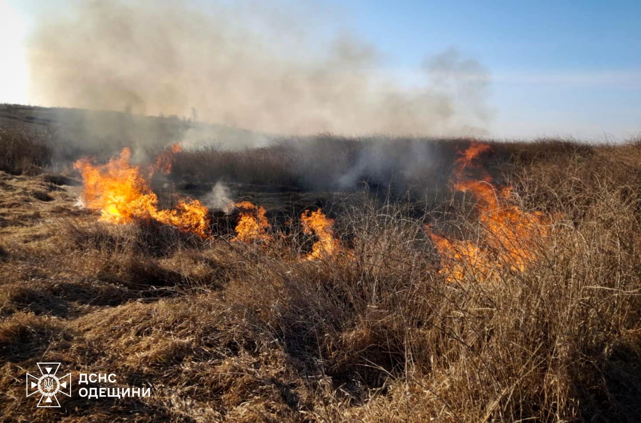 На Одещині за тиждень рятувальники 137 разів виїжджали на гасіння сухої рослинності (фото)