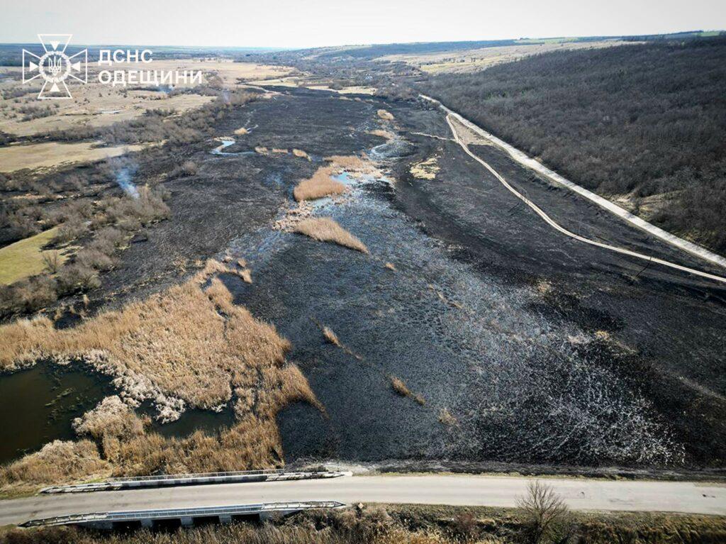 В Одесской области бушевал масштабный пожар