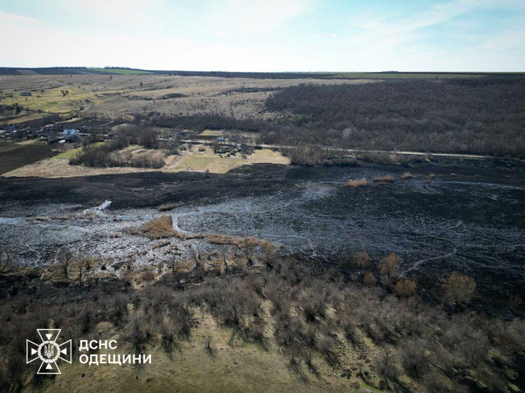 В Одесской области бушевал масштабный пожар