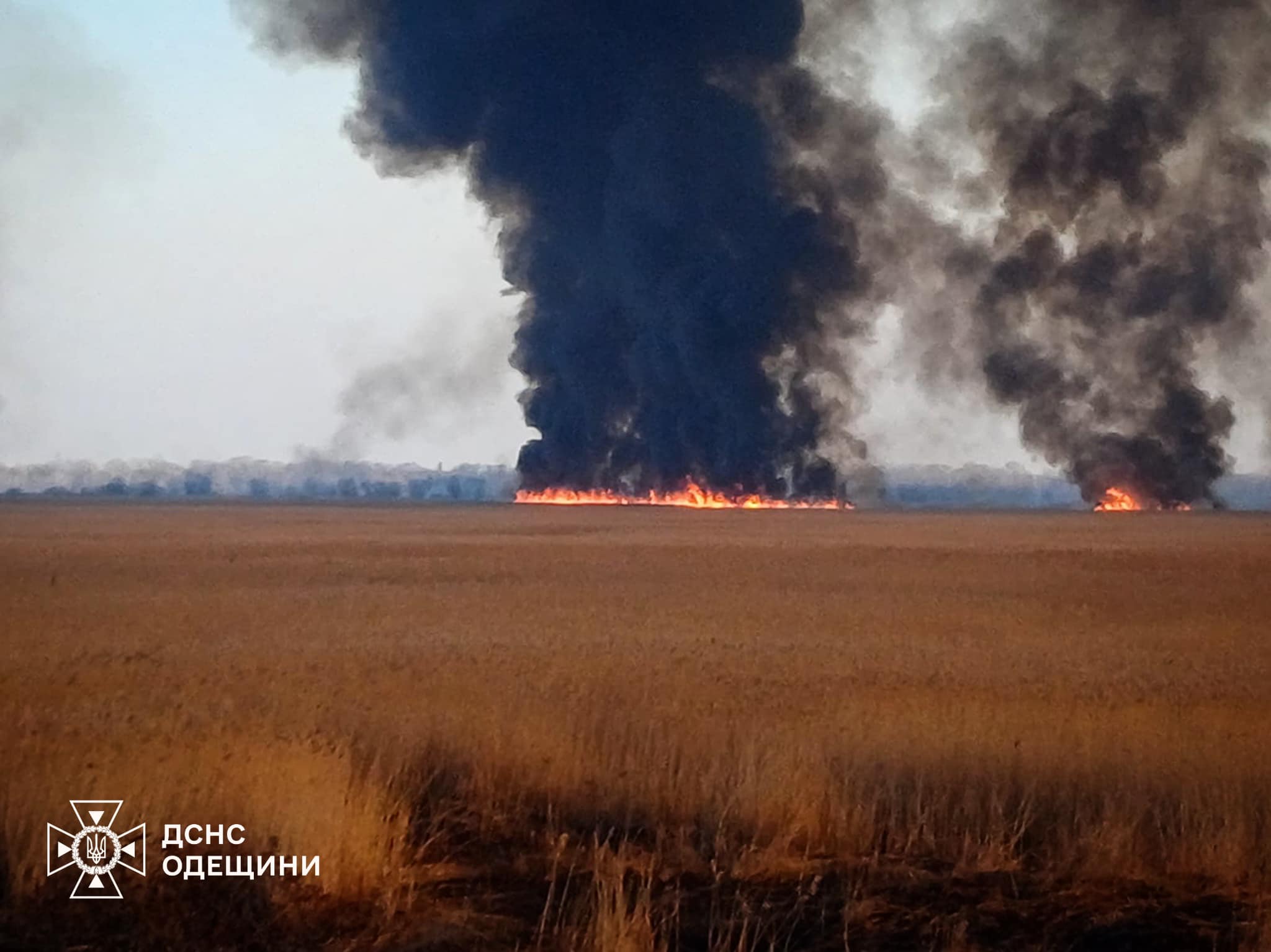 На Одещині за тиждень рятувальники 137 разів виїжджали на гасіння сухої рослинності (фото)