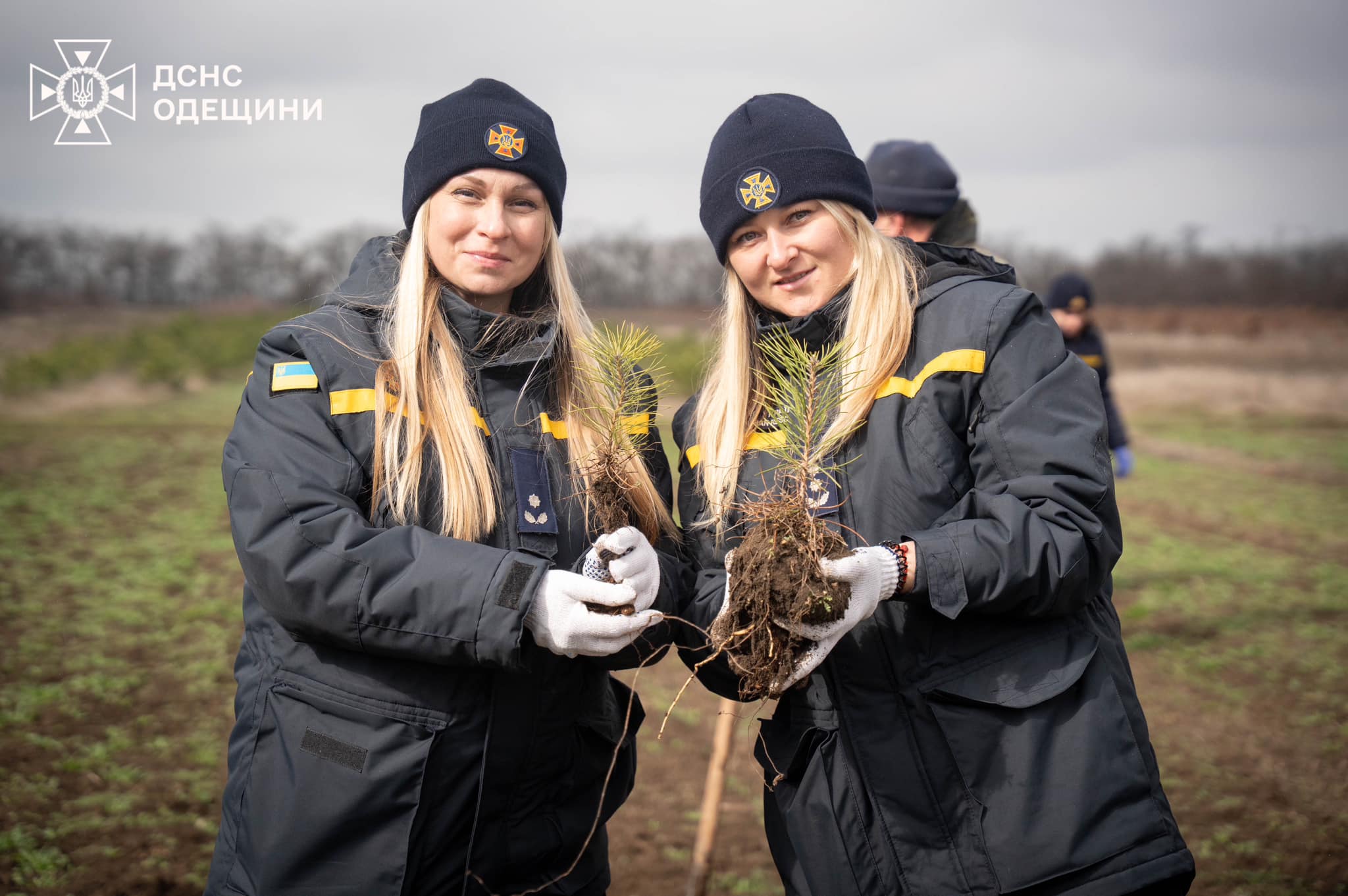 Одеські рятувальники висадили більше сотні кримських сосен (фото)